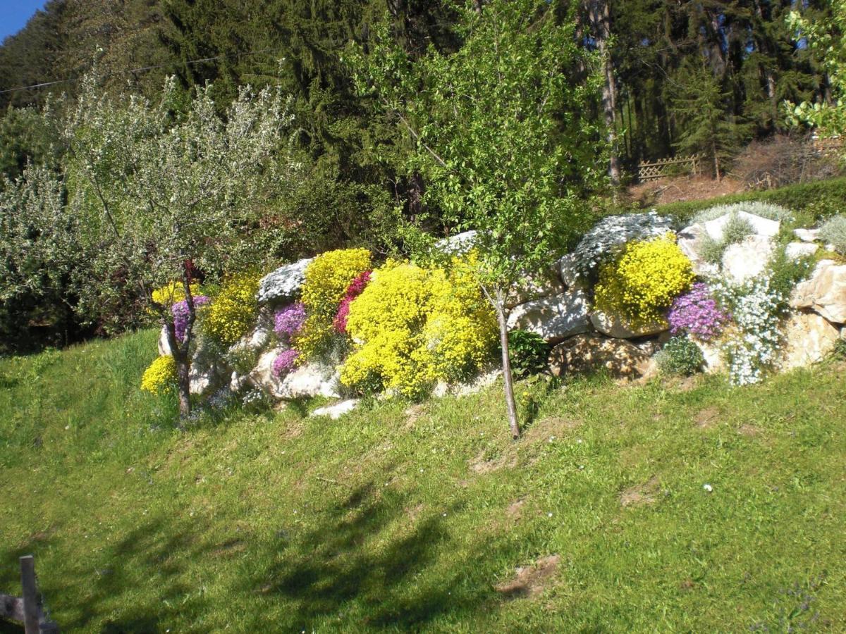 Ferienwohnungen Eggarter Fresach Exterior foto